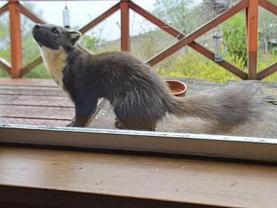 Shieldaig  Camus Na Harryヴィラ エクステリア 写真